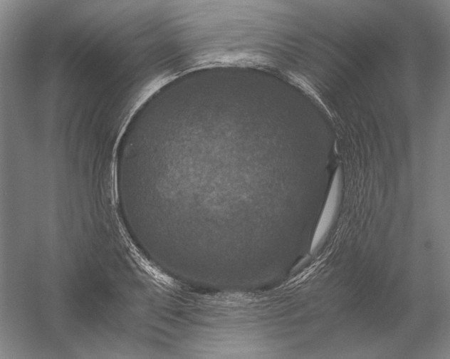 X0000056381079200509091709