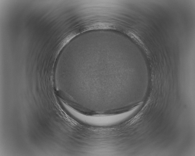 X0000056381081200509091709