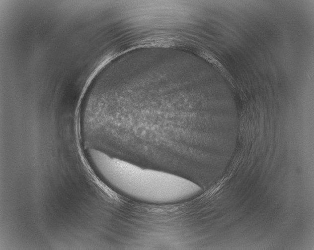 X0000056381083200509091709