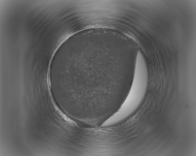 X0000056381084200509091709