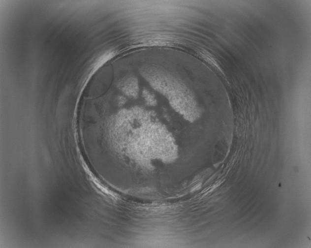 X0000056381087200509091709