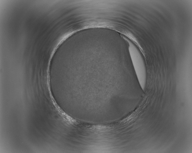 X0000056381088200509091709