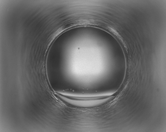 X0000056381089200509091709