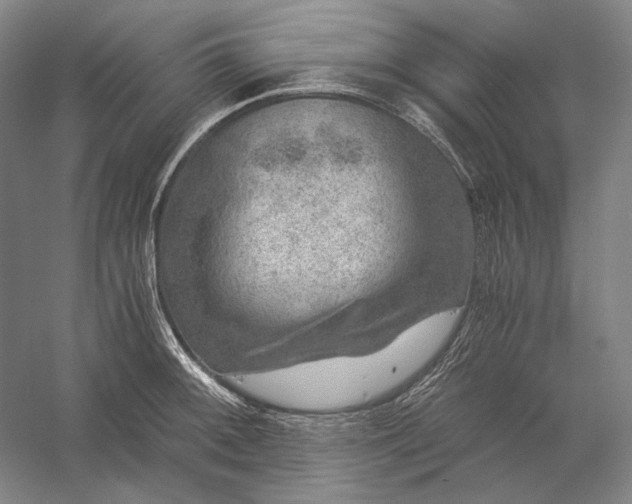 X0000056381092200509091708