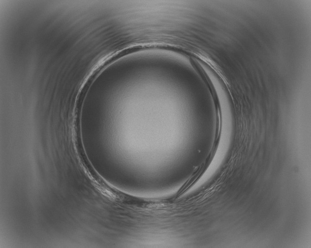 X0000056381093200509091708