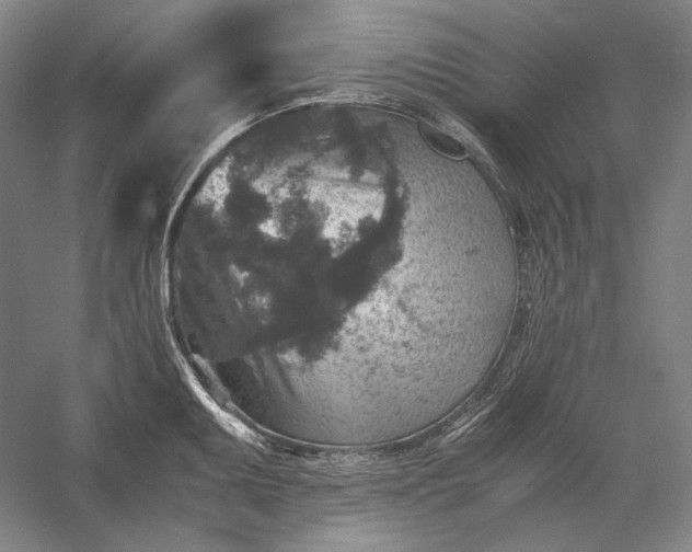 X0000056381095200509091708