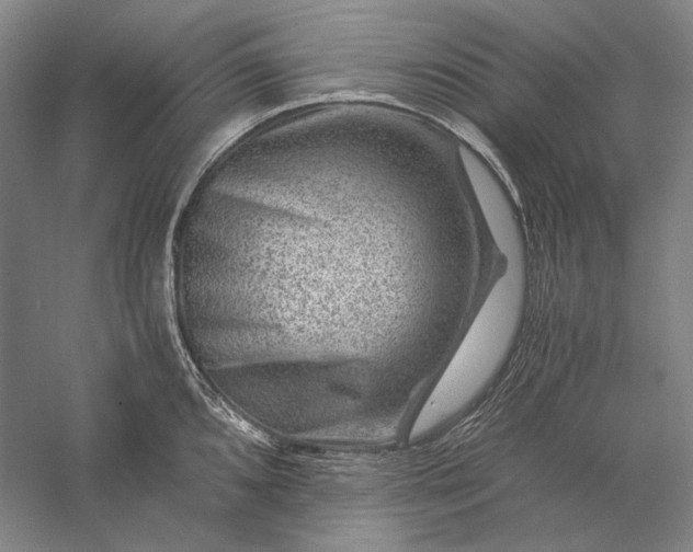 X0000056381096200509091708