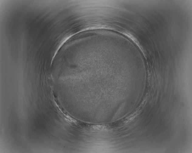 X0000056381097200509091708