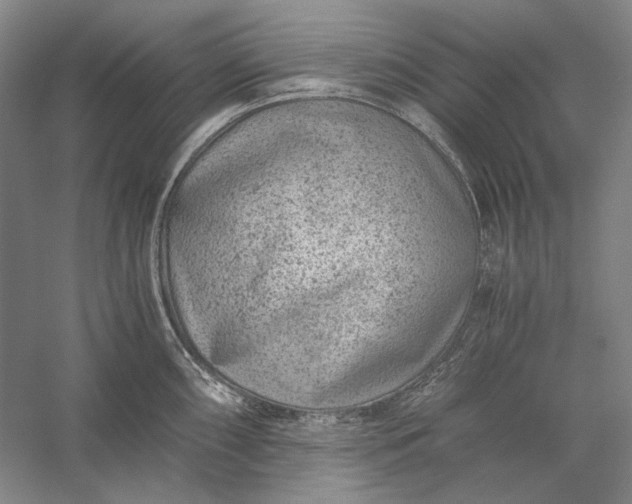 X0000056381098200509091708