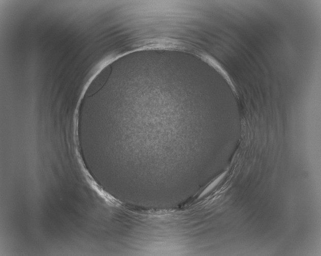 X0000056381099200509091708