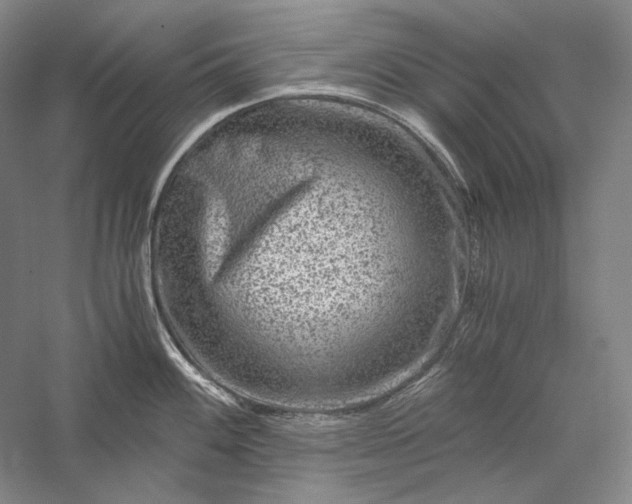 X0000056381100200509091708