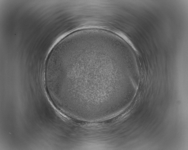 X0000056381101200509091708