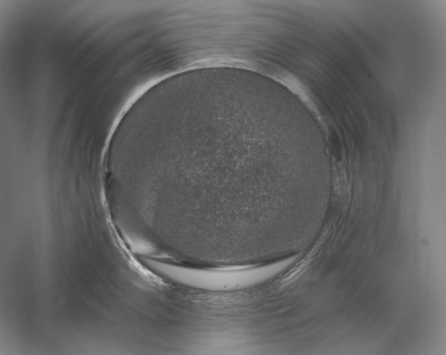 X0000056381102200509091708