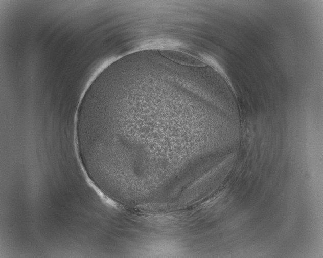 X0000056381103200509091708