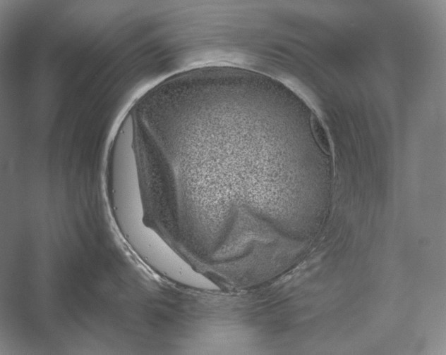 X0000056381104200509091708