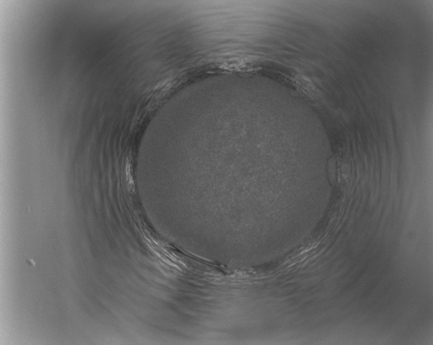 X0000056381106200509091707