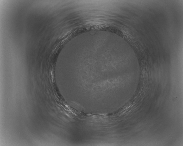 X0000056381109200509091708