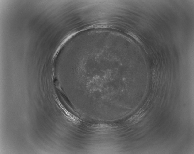 X0000056381115200509091708