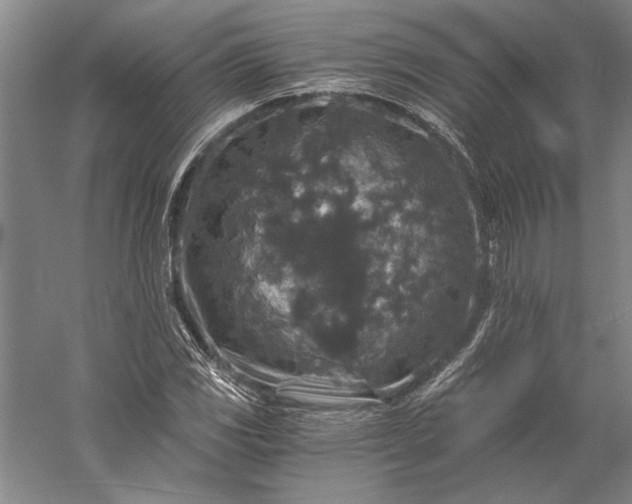 X0000056381117200509091708