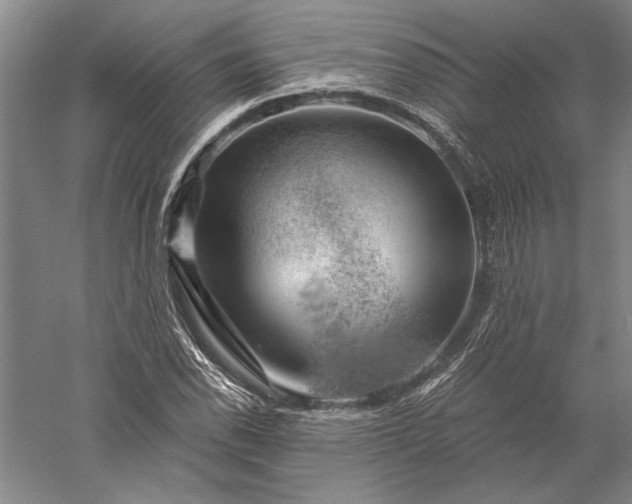 X0000056381118200509091708