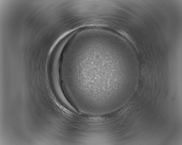 X0000056381120200509091708