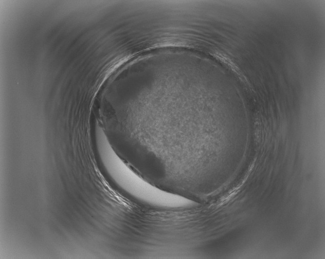 X0000056381121200509091708