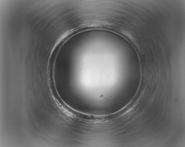 X0000056381122200509091708