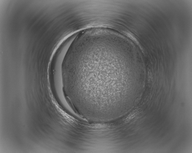 X0000056381124200509091708