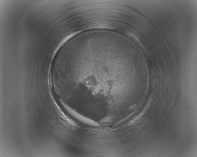 X0000056381125200509091708