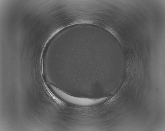 X0000056381127200509091708