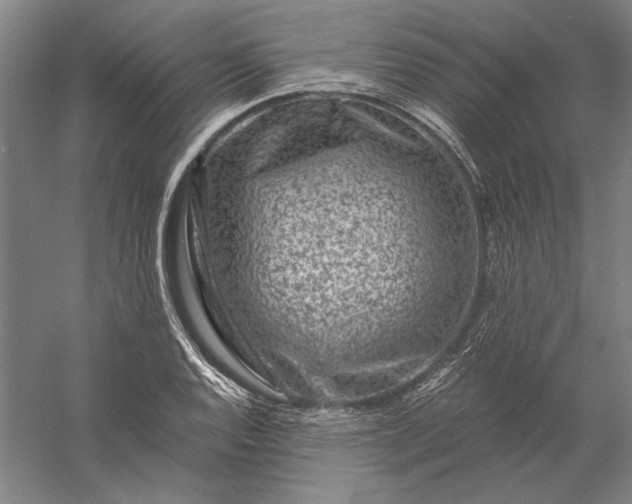 X0000056381128200509091708