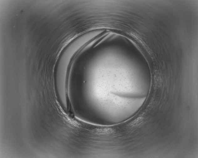 X0000056381129200509091708