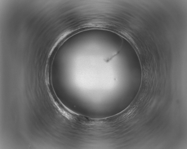 X0000056381131200509091708