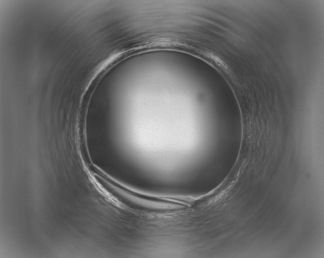 X0000056381134200509091708