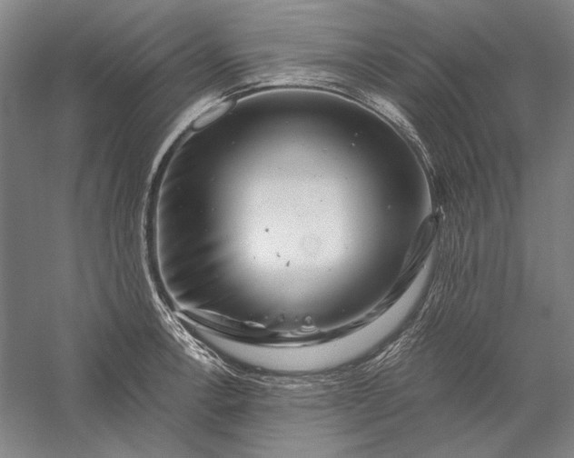 X0000056381138200509091708