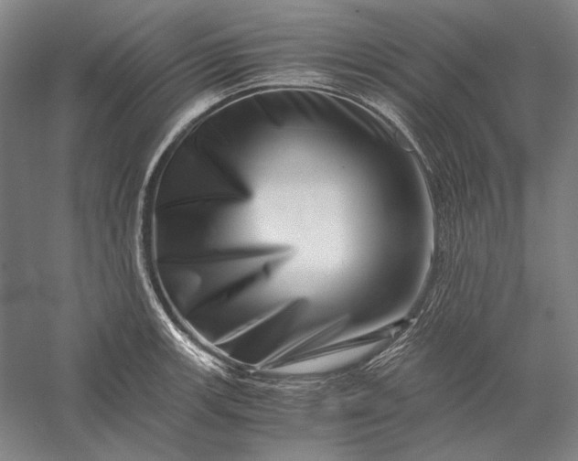 X0000056381139200509091708