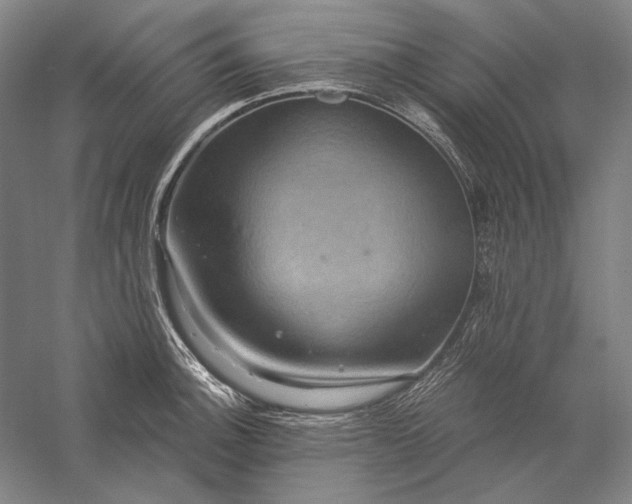 X0000056381140200509091708