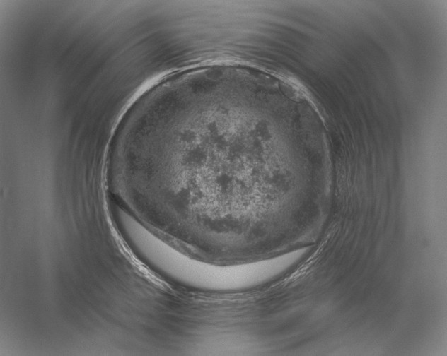 X0000056381142200509091708