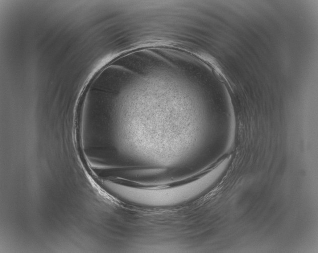 X0000056381143200509091708