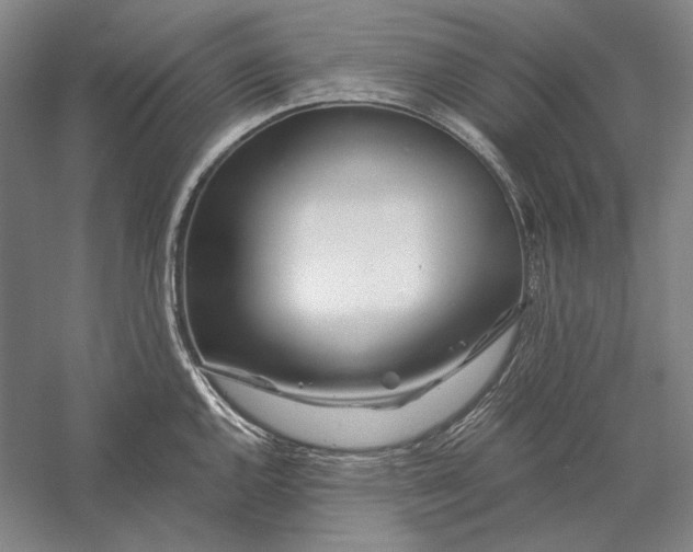 X0000056381144200509091708