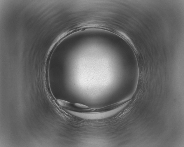 X0000056381146200509091708