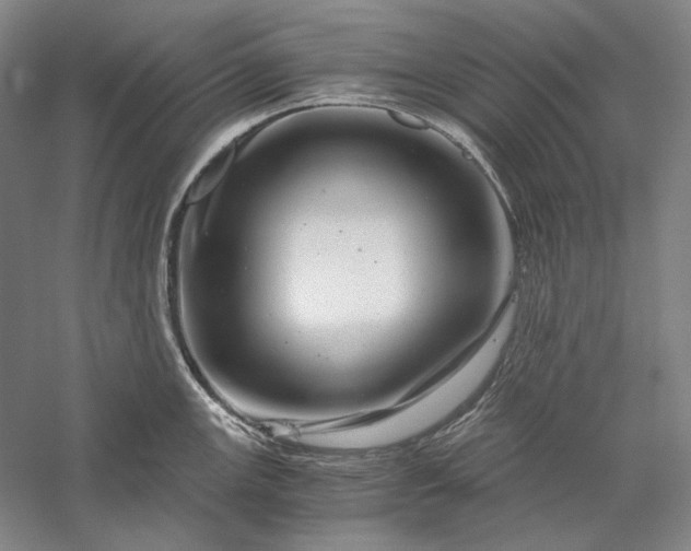 X0000056381147200509091708