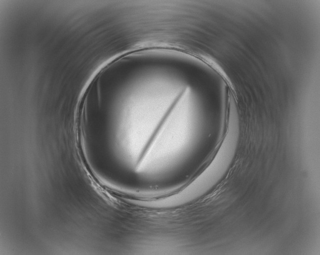 X0000056381148200509091708