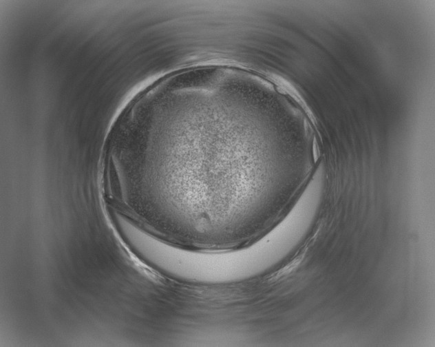 X0000056381149200509091708