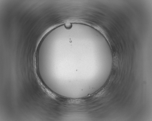 X0000056381150200509091708