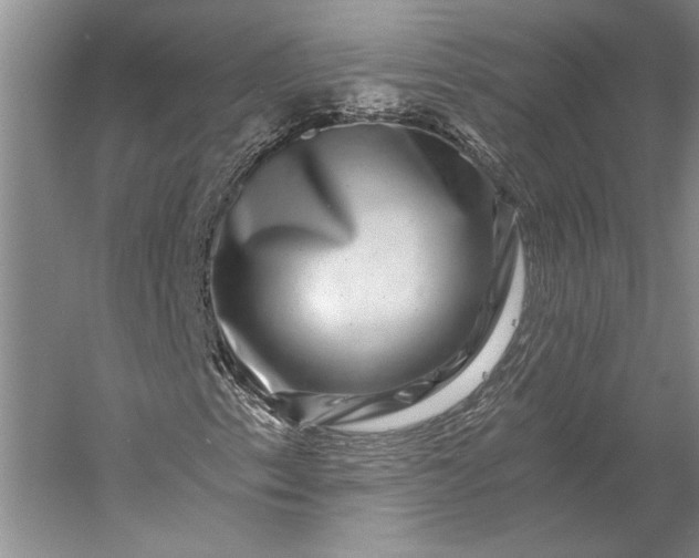 X0000056381153200509091707