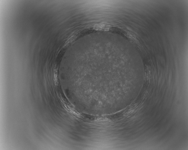 X0000056381154200509091707