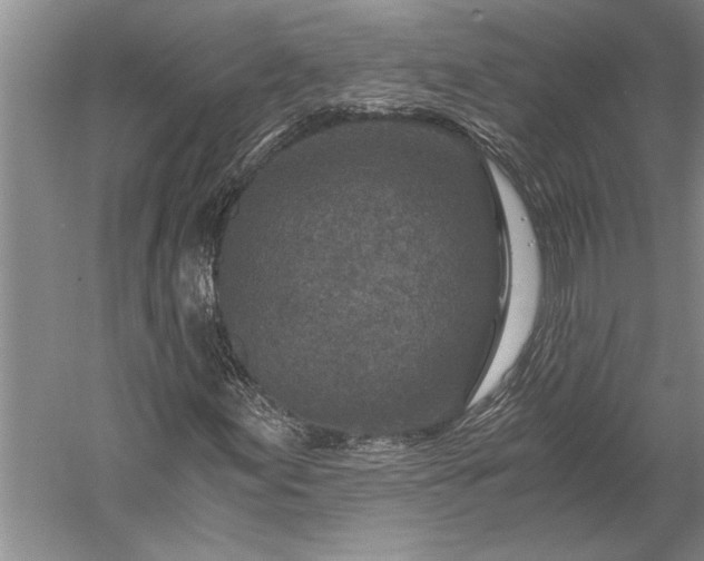 X0000056381155200509091707