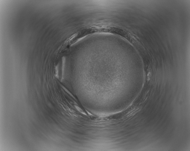 X0000056381156200509091707