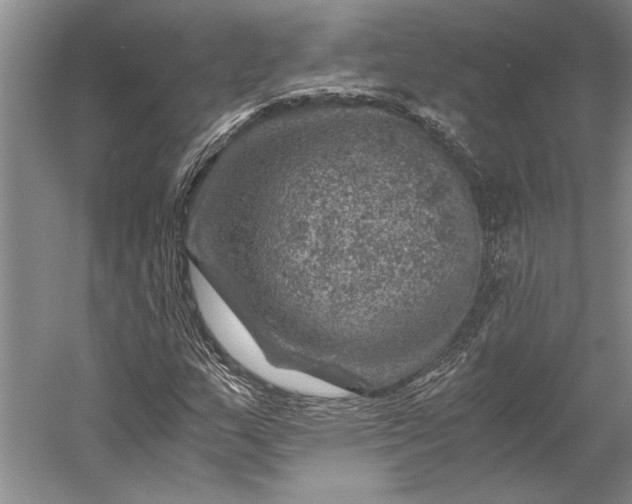 X0000056381159200509091707